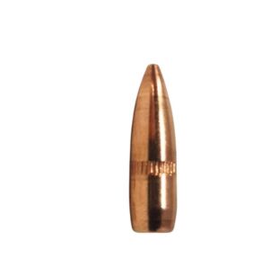 Pociski Sellier & Bellot .22 55grs/3,60g, FMJ 100 szt - 2903